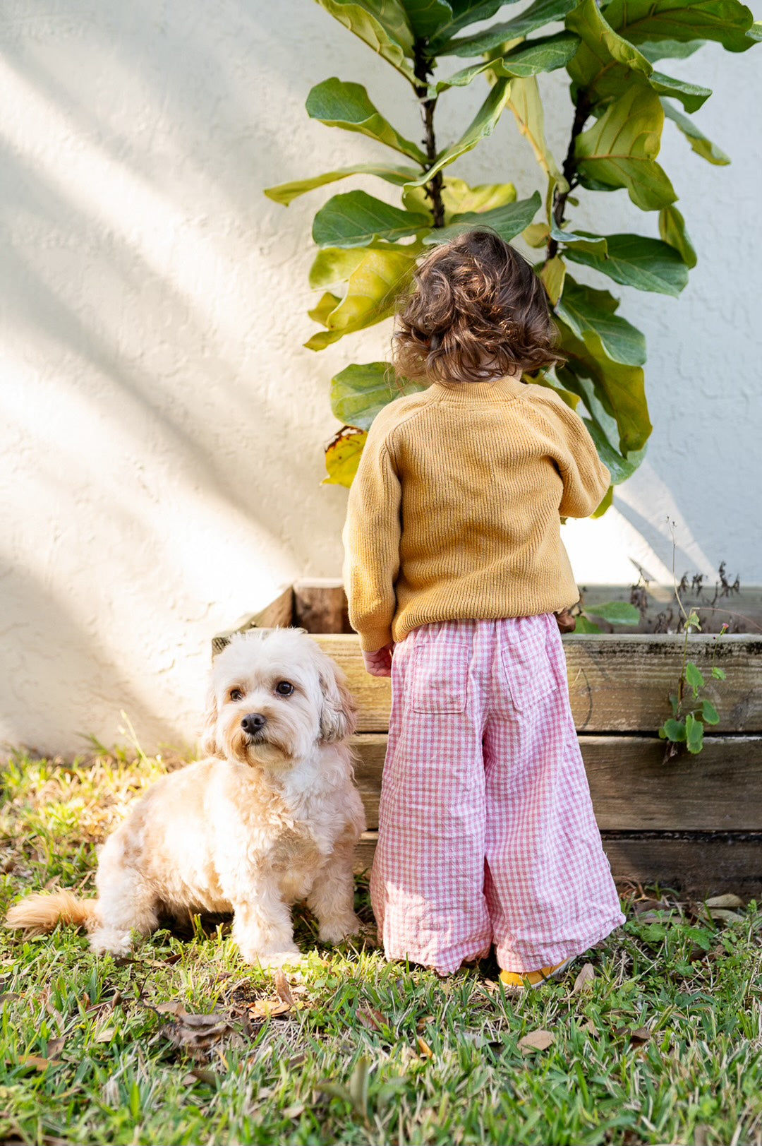 Wren Trousers Pattern