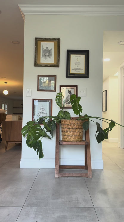 Penny Pants Pattern - Adult Sizing